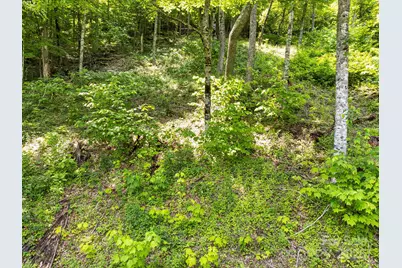 17 Mountain Gait Drive #17, Mars Hill, NC 28754 - Photo 27