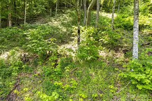 17 Mountain Gait Dr, Mars Hill, NC 28754 - Photo 27