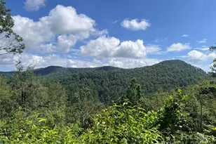 100 Mountain Fld Ln, Burnsville, NC 28714 - Photo 17