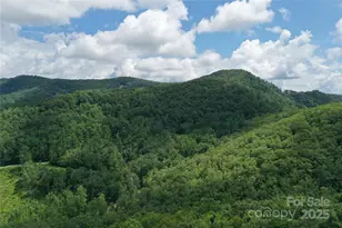 100 Mountain Fld Ln, Burnsville, NC 28714 - Photo 31