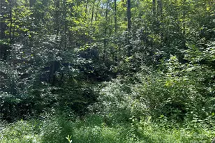 100 Mountain Fld Ln, Burnsville, NC 28714 - Photo 11