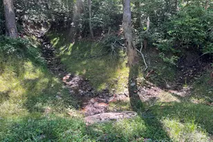 100 Mountain Fld Ln, Burnsville, NC 28714 - Photo 7