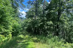 100 Mountain Fld Ln, Burnsville, NC 28714 - Photo 15