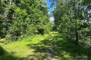 100 Mountain Fld Ln, Burnsville, NC 28714 - Photo 13