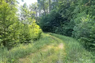 100 Mountain Fld Ln, Burnsville, NC 28714 - Photo 23