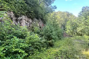 100 Mountain Fld Ln, Burnsville, NC 28714 - Photo 21