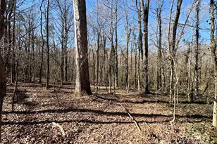 1417 Ellis Griffin Rd, Wingate, NC 28174 - Photo 1