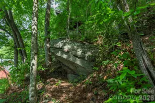 7 Winding Poplar Rd, Black Mountain, NC 28711 - Photo 43