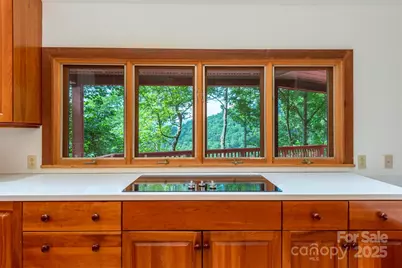 7 Winding Poplar Road, Black Mountain, NC 28711 - Photo 17