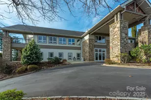 10 Chestnut Ridge Rd, Mills River, NC 28759 - Photo 33