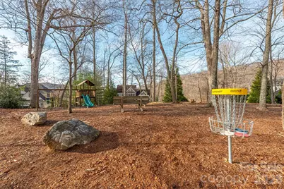 10 Chestnut Ridge Road, Mills River, NC 28759 - Photo 39