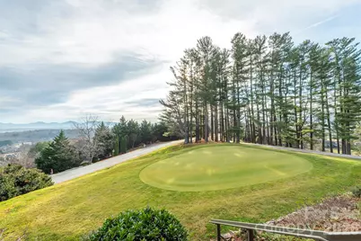 10 Chestnut Ridge Road, Mills River, NC 28759 - Photo 31