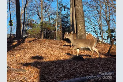 10 Chestnut Ridge Road, Mills River, NC 28759 - Photo 45