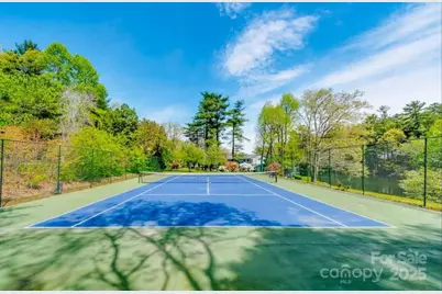 20 Lake Jordan Drive #503, Flat Rock, NC 28731 - Photo 15