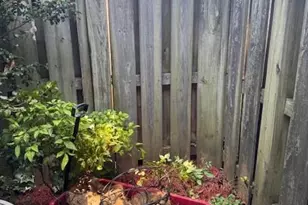 2227 Rexford Rd, Charlotte, NC 28211 - Photo 23