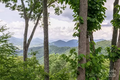 456 Spring House Drive, Burnsville, NC 28714 - Photo 13