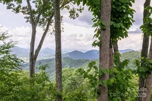 456 Spring House Dr, Burnsville, NC 28714 - Photo 13