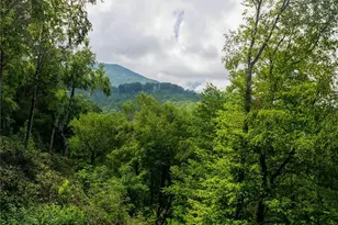 1055 Winterstar Loop, Burnsville, NC 28714 - Photo 47