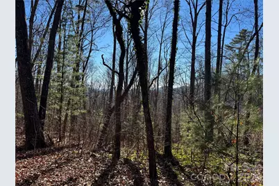 99999 Buffalo Trail #86, Asheville, NC 28805 - Photo 5