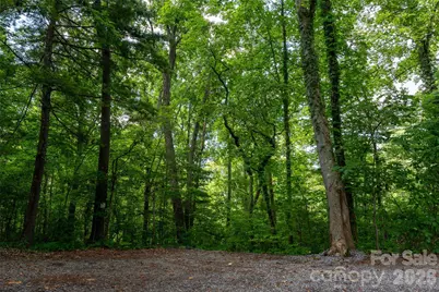 99999 Buffalo Trail #86, Asheville, NC 28805 - Photo 9