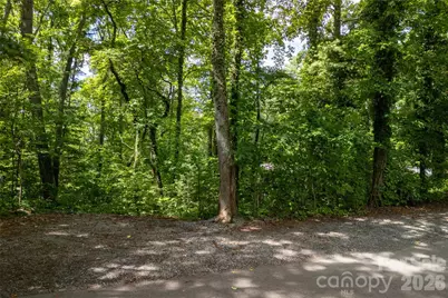 99999 Buffalo Trail #86, Asheville, NC 28805 - Photo 13