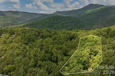 99999 Buffalo Trail #86, Asheville, NC 28805 - Photo 1
