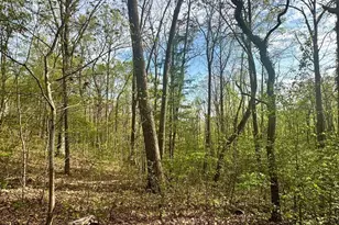 99999 Buffalo Trail, Asheville, NC 28805 - Photo 1