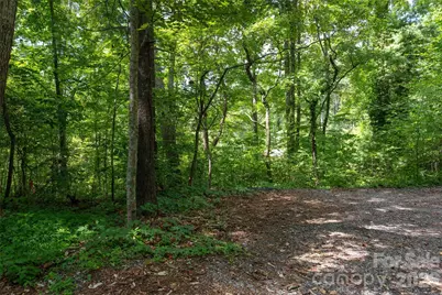 99999 Buffalo Trail #86, Asheville, NC 28805 - Photo 3