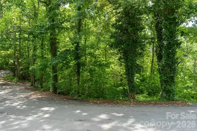 99999 Buffalo Trail #86, Asheville, NC 28805 - Photo 11