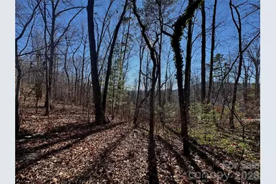 99999 Buffalo Trail #86, Asheville, NC 28805 - Photo 15