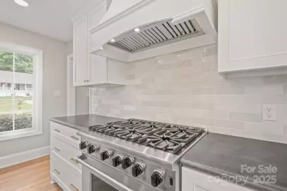 315 S Main Street, Davidson, NC 28036 - Photo 13