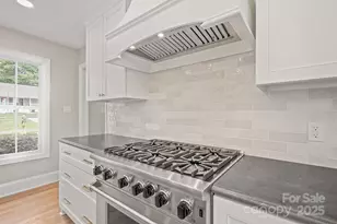 315 S Main St, Davidson, NC 28036 - Photo 13