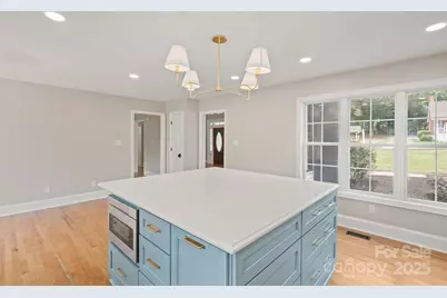 315 S Main Street, Davidson, NC 28036 - Photo 11