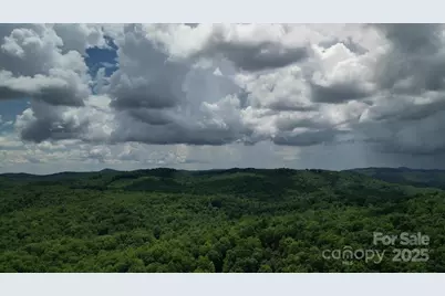 23 Dvga Court, Brevard, NC 28712 - Photo 47