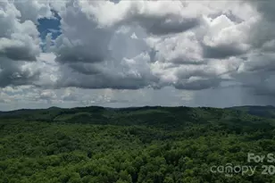 23 Dvga Ct, Brevard, NC 28712 - Photo 47