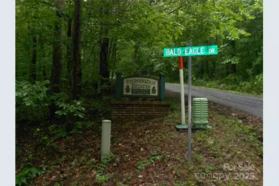 Tbd Bald Eagle Drive, Hendersonville, NC 28792 - Photo 1