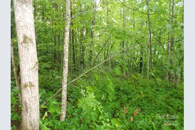 Tbd Bald Eagle Drive, Hendersonville, NC 28792 - Photo 5