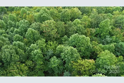 Tbd Bald Eagle Drive, Hendersonville, NC 28792 - Photo 11