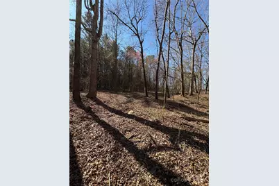 1417 Ellis Griffin Road, Wingate, NC 28174 - Photo 7