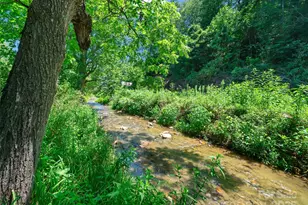 9065 Nc 63 Hwy, Leicester, NC 28748 - Photo 3