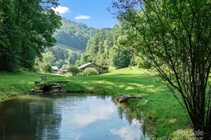 9065 Nc 63 Hwy, Leicester, NC 28748 - Photo 9