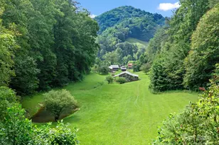 9065 Nc 63 Hwy, Leicester, NC 28748 - Photo 29