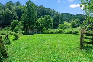 9065 Nc 63 Hwy, Leicester, NC 28748 - Photo 7