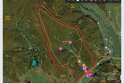 9065 Nc 63 Highway, Leicester, NC 28748 - Photo 45