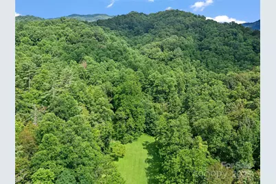 9065 Nc 63 Highway, Leicester, NC 28748 - Photo 35