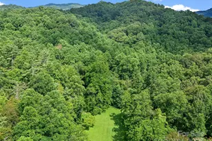 9065 Nc 63 Hwy, Leicester, NC 28748 - Photo 35