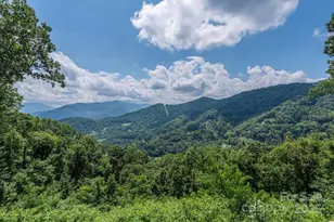 316 Fincher Mountain Rd, Waynesville, NC 28785 - Photo 1