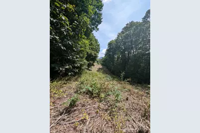 0 Greenspire Drive, Sylva, NC 28779 - Photo 9