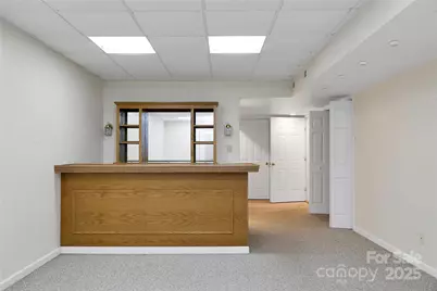 273 Inoli Circle, Brevard, NC 28712 - Photo 47