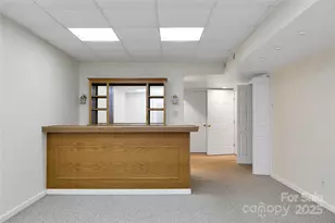 273 Inoli Cir, Brevard, NC 28712 - Photo 47